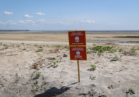 Credits: Ivan Antipenko