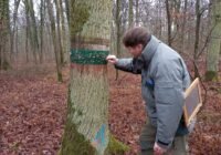 Credits: Cornelia Reichert, LWF