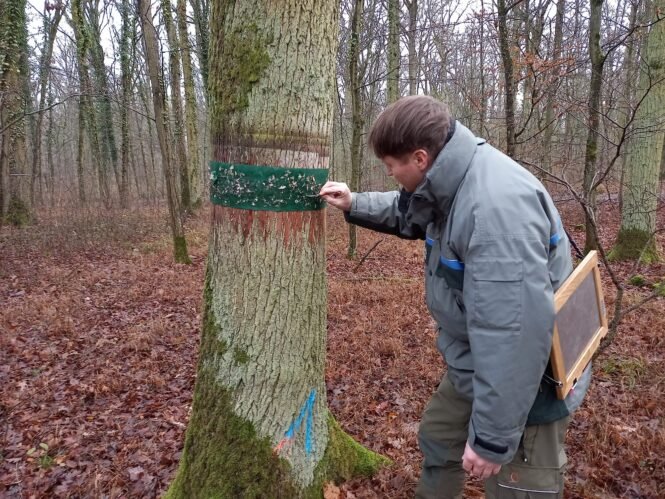 Credits: Cornelia Reichert, LWF