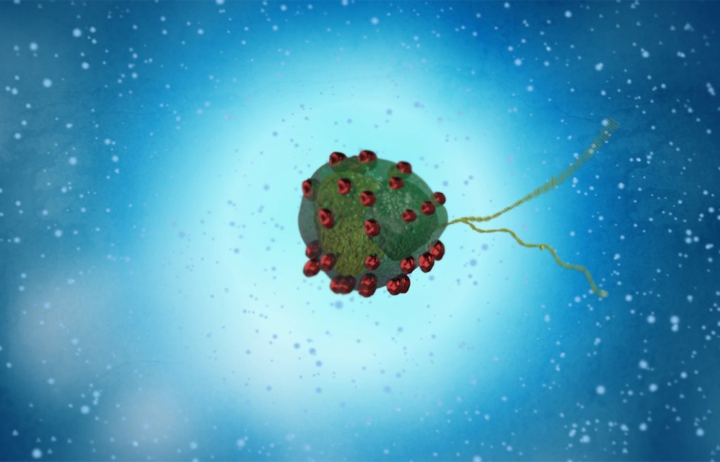 Credits: A. Poseda, MPI-IS