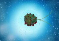 Credits: A. Poseda, MPI-IS