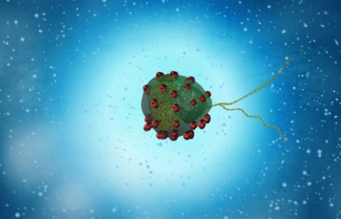 newsimage404625 | Pugnalom Credits: A. Poseda, MPI-IS