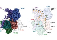 Credits: Kumar und andere