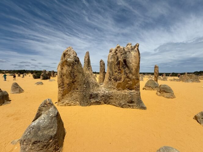 Credits: Janet Reznicek, Bind-X GmbH