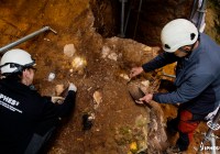 Credits: Maria D. Guillén, IPHES-CERCA