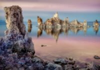 Credits: Rikk Flohr, AdobeStock