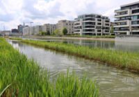 Credits: Florian Altermatt