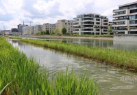 Credits: Florian Altermatt