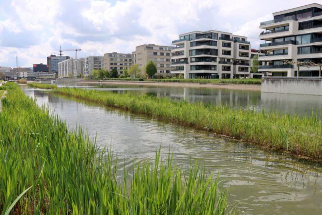 Credits: Florian Altermatt