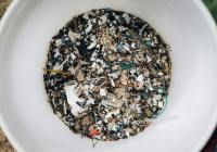 Credits: Alfo Medeiros, pexels