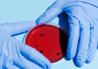 Credits: Anna Shvets, pexels