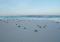 Credits: TEE, pexels