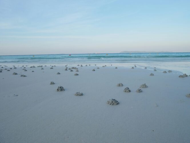 pexels-tee-3268331-19400526 | Pugnalom Credits: TEE, pexels