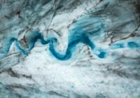 Credits: Tomáš Malík, pexels