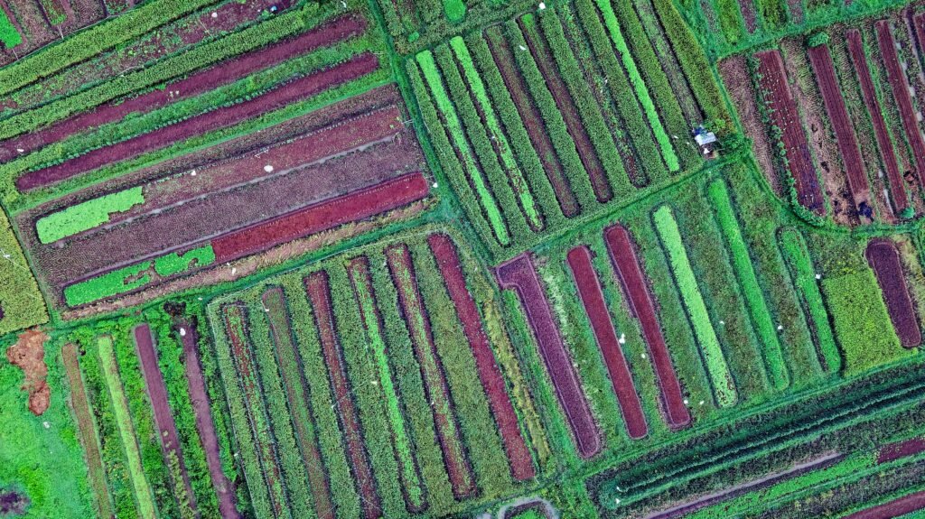 pexels-tomfisk-1571137 | Pugnalom Credits: Tom Fisk, pexels