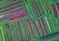 Credits: Tom Fisk, pexels