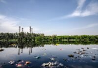 Credits: Yogendra Singh, pexels