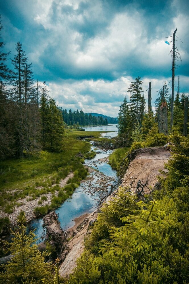 Credits: Hobbyfotographie, pixabay