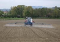 Credits: shauhi, pixabay