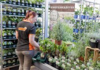 Credits: Globus Baumarkt