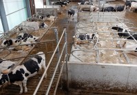 Credits: landpixel. de, Bundesinformationszentrum Landwirtschaft