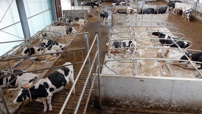 Credits: landpixel. de, Bundesinformationszentrum Landwirtschaft