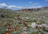 Credits: Merlin Schäfer