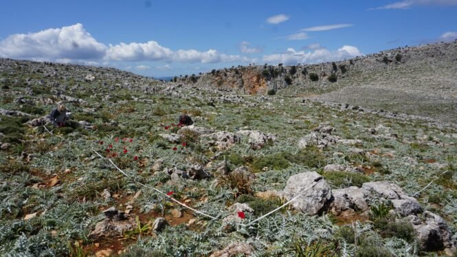 Credits: Merlin Schäfer