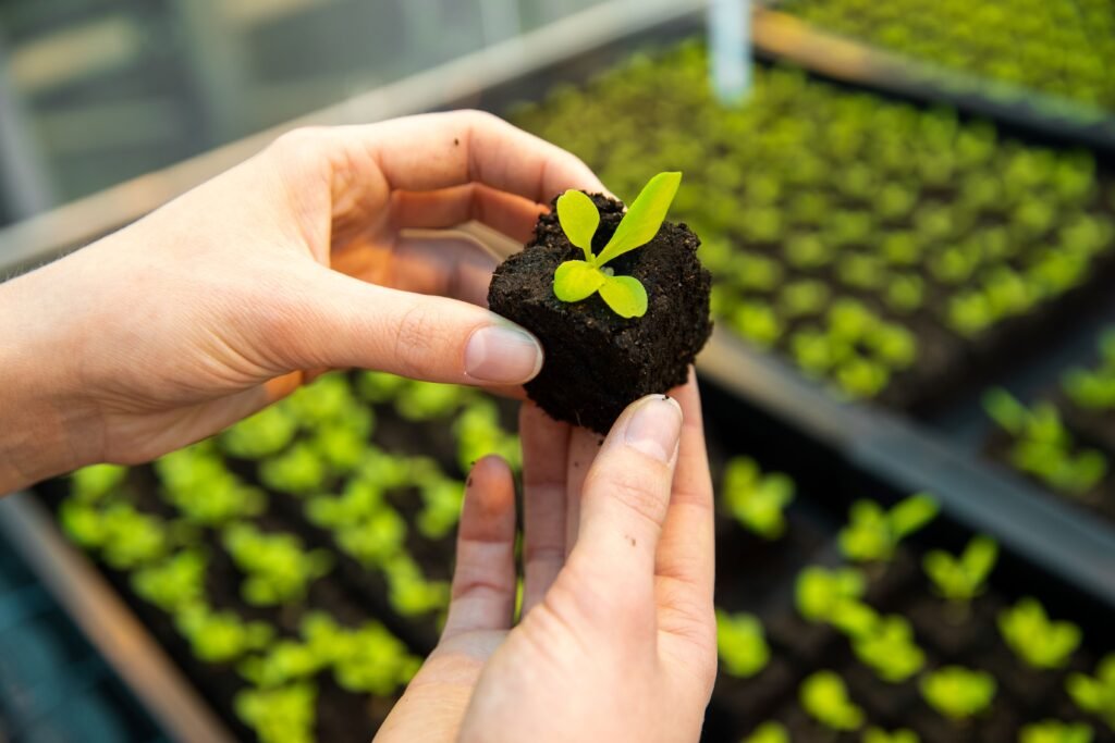 Credits: Woody T. Herner, Hochschule Geisenheim