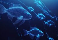 AkuMonit, credits: August-Wilhelm Scheer Institut