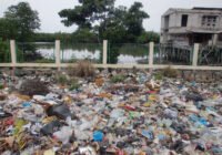 Credits: Rebecca Lahl, Leibniz-Zentrum für Marine Tropenforschung (ZMT)