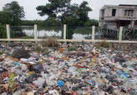 Credits: Rebecca Lahl, Leibniz-Zentrum für Marine Tropenforschung (ZMT)