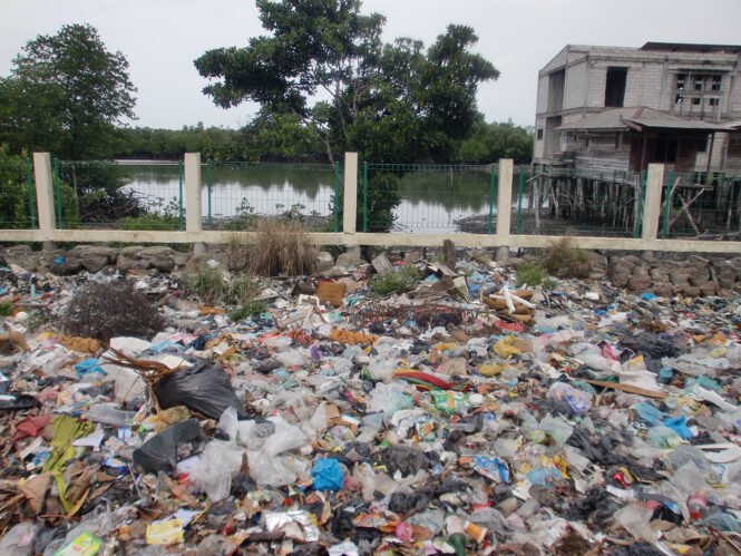 Credits: Rebecca Lahl, Leibniz-Zentrum für Marine Tropenforschung (ZMT)