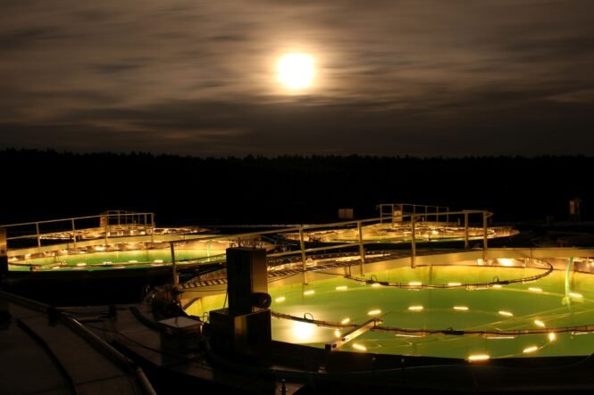 Der Versuch zum Skyglow im IGB Seelabor. Credits: Andreas Jechow