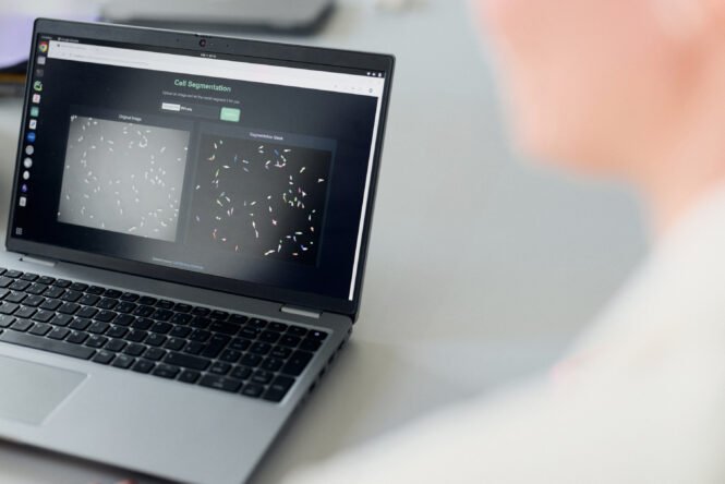 Credits: Credits: P. Pollmeier, HSBI