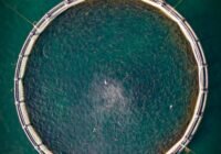 Credits: Abdurrahman TEPE, pexels