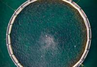 Credits: Abdurrahman TEPE, pexels