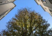 Credits: April Choitz, pexels