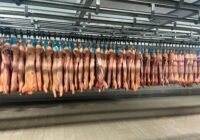 Credits: Aurelijus U., pexels