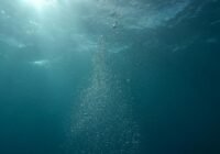 Credits: Berend de Kort, pexels