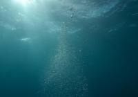 Credits: Berend de Kort, pexels