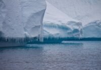 Credits: DSD, pexels