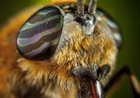 Credits: Egor Kamelev, pexels