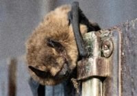 Credits: Maximilian Ruther, pexels