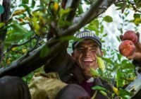 Credits: Nishant Aneja, pexels