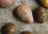 Credits: Polina Tankilevitch, pexels