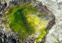 Credits: Q. H?ng Ph?m, pexels