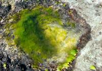 Credits: Q. Hưng Phạm, pexels