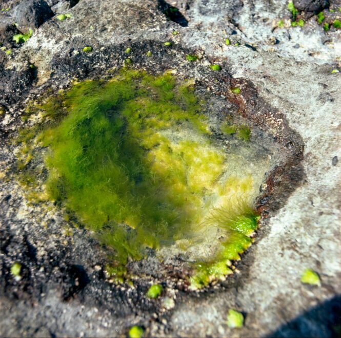 Credits: Q. H?ng Ph?m, pexels