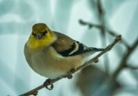 Credits: Tom Fisk, pexels